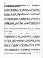 Radeau des Cimes, Guyane 1989