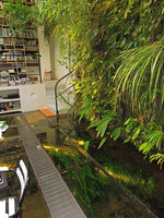Bookshelves, Vertical Garden and aquatic plants submerged in le Christarium, Patrick Blanc home, May 2013