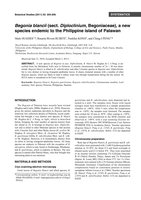 Botanical Studies (2011) vol 52 , Begonia blancii, publication, April 2011