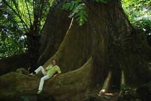 Patrick Blanc dans les contreforts d&#039;Octomeles sumatrana, Luzon, mai 2011