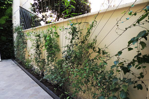 Alaia Boutique, Câbles inox supports de lianes