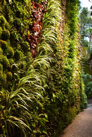 Canyon, Le Sereno, Como Lake, Italy