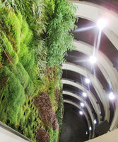 Car Parking Q Park, vertical garden after five years, Lyon