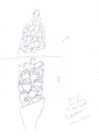 Cercestis blancii, a sketch of spadix by Patrick Blanc when he thought to barbelatus as the species name due to the barbed wire like spiny aerial feeding roots 