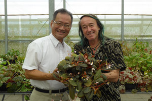 Chia-Wei Li and Patrick Blanc showing Begonia blancii, Cecilia Koo Botanic Conservation Center, Taiwan, Oct. 2015