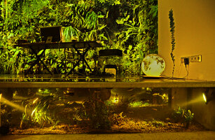 Christarium at Patrick Blanc home, full of plants and fishes, the main inspiration for Dreamscape Garden at Changi T 2, Singapore