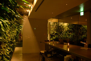 CNAC, the Bar with Indoor and Outdoor Vertical Garden, Aoyama,Tokyo