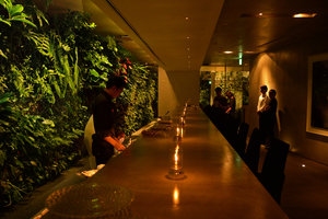 CNAC Vertical Garden at the bar, Aoyama,Tokyo