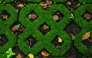 Concrete grating naturally covered by mosses, Menjangan, Bali