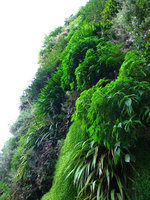 Contre-plongée au Quai Branly