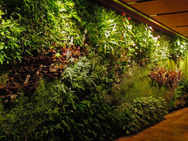 Corridor Vertical Garden detail, Sofitel Palm Jumeirah, Dubai
