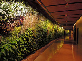 Corridor Vertical Garden, Sofitel Palm Jumeirah, Dubai