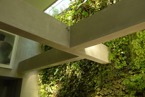 Costume National Vertical Garden and Bar, structural concrete beams and plants, Fukuoka, one year after plant installation, Sept. 2016