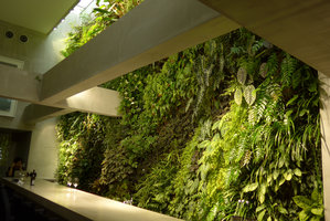 Fukuoka | Mur Vegetal Patrick Blanc