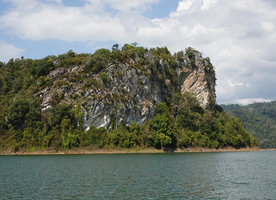 Cycas clivicola population on vertical limestone cliff of the Batu Putih island in the Temenggor dam lake, Perak, Malaysia