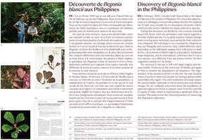 Découverte de Begonia blancii aux Philippines