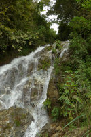 Dicranopygium sanctae-martae, a rheophytic species in its waterfall habitat, Minca, Sierra Nevada de Santa Marta, Magdalena, Colombia