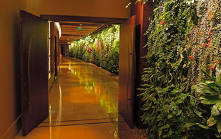 Door open to Nature, Corridor Vertical Garden, Sofitel Palm Jumeirah, Dubai