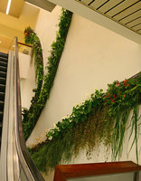 Eclairs Verts by Patrick Blanc for the Jardins exhibition, partial view, Grand Palais, Paris