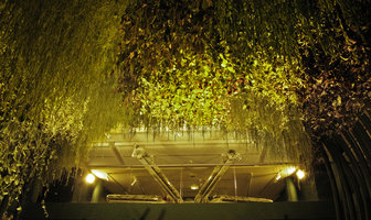 Espace Electra EDF exposition Folies Végétales par Patrick Blanc, Plafond Vegetal and Flutes aux Rheophytes, Paris