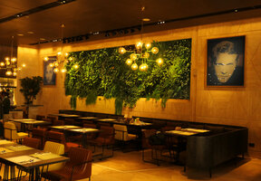 Emperor Hotel, vertical garden by Patrick Blanc, Hong Kong