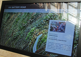 Explanation billboard Rainforest Rhapsody, Capitaland at Six Battery Rd, Singapore