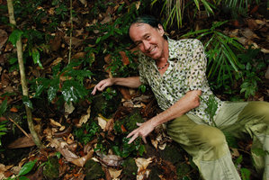 Publication de Begonia blancii, nouvelle espèce découverte par P. Blanc aux Philippines
