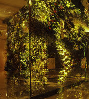 FAAP exhibition, Quaternary Hanging Blades by Patrick Blanc, Sao Paulo