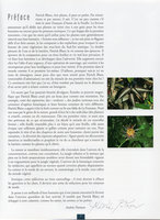 Etre plante à l&#039;ombre des forêts tropicales