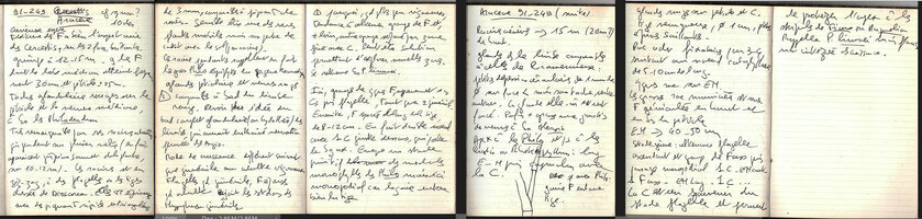 Field note book by Patrick Blanc on 10th Dec. 1991, explaining the growth habits of  his newly discovered Cercestis sp. 91-249, finally named Cercestis blancii in 2025, Ebodje, Campo, Cameroon