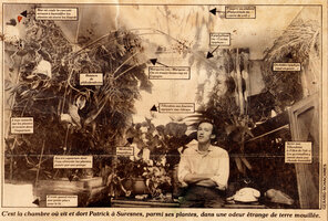 First vertical garden created by Patrick Blanc in his parent&#039;s home, Suresnes, 1978