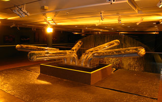 Flûtes aux Rhéophytes, Exposition Folies Vegetales by Patrick Blanc, Espace EDF Electra, Paris