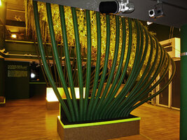 Folies vegetales, Plafond Végétal lighted at night from the open bottom benches at the EDF Electra exhibition by Patrick Blanc, Paris