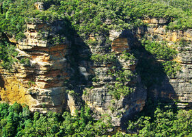 Forest  along the cliff, mostly Eucalyptus at the top and at the bottom, Blue Mountains, NSW, Australia