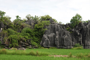 Forest, karst needles and rice fields, Rammang Rammang, Maros, South Sulawesi