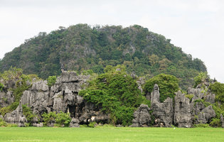 Forest on karst behind rice fields, Rammang Rammang, Maros, South Sulawesi