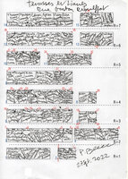 Plant Design for the Terrasse Planters with herbaceous species, shrubs and lianas, DWS Gaston Rebuffat, Paris