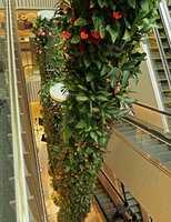 Green Columns by Patrick Blanc at Robinsons, Dubai