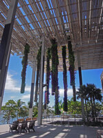 Green Columns at the PAMM Museum, Miami, July 2016