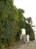 Green Gate, Vertical Garden by Patrick Blanc,  pedestrians walking through the arch door, Bahrain, Jan. 2017