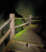 Green iridescence in Algae and Cyathodium at cave entrance, Tasik Kenyir, Trengganu, Malaysia