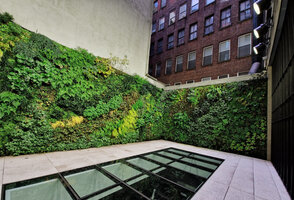 Greenwich West Charlton street Vertical Garden, New York, Dec. 2022
