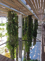 Hanging Columns at the PAMM Museum, Miami, July 2016