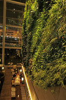 Hotel Icon, guests dining at night under the vertical Garden, Hong Kong