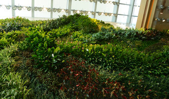 Hotel Icon, the Vertical Garden like a mountain cliff, Hong Kong