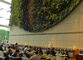 Hotel Icon Vertical Garden, lunch time under the plants, Hong Kong
