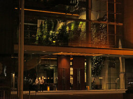 Hotel Icon Vertical Garden, night view from the street, Hong Kong