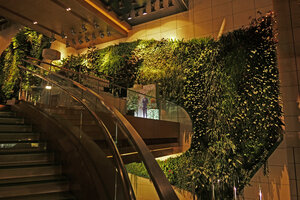 Icon Hotel, part of the vertical garden at night around the suspended bridge, Hong Kong