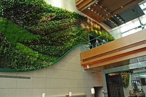 Icon Hotel Vertical Garden  by Patrick Blanc embracing the bridge, Hong Kong