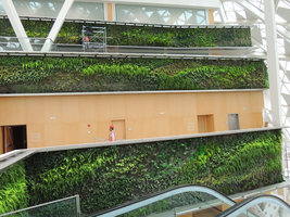 Indoor Vertical Garden, KAFD Conference Center, Riyadh
